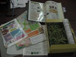 2010ワンシートが届いています.jpg