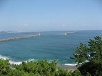 桂浜を望む.jpg