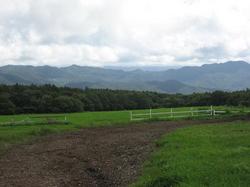 清泉寮牧場.jpg