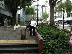 しぶぴか.jpg